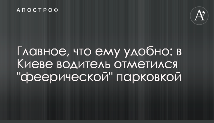 Главное, что ему удобно: в Киеве водитель отметился 