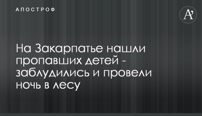 На Закарпатье нашли пропавших детей - заблудились и провели ночь в лесу