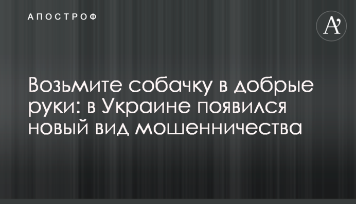Візьміть собачку в добрі руки: в Україні з'явився новий вид шахрайства