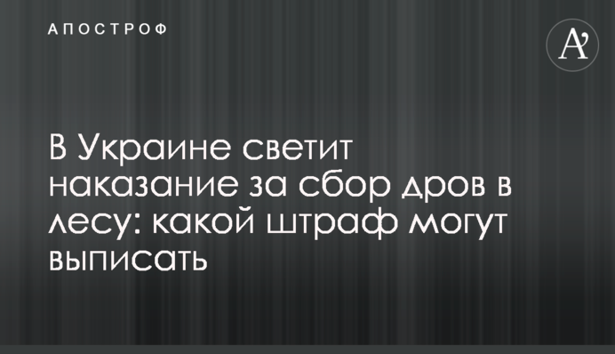 В Украине светит наказание за сбор дров в лесу: какой штраф могут выписать