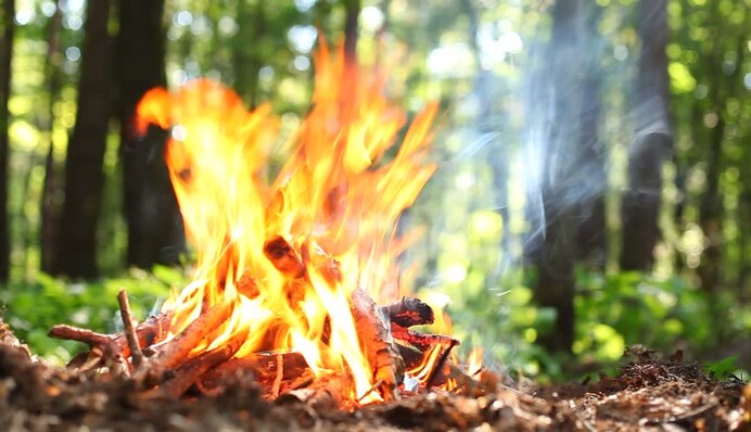 Сезон уже начался: как правильно разжигать огонь на природе