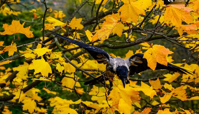 Тепло, туманы и местами дожди: прогноз синоптика на выходные