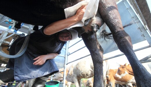 Wizz Air изменила маршруты полетов в обход зоны АТО