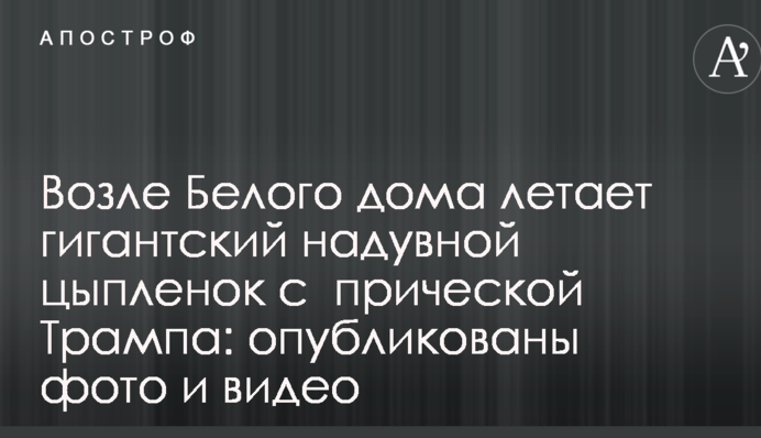 Біля Білого дому літає гігантське надувне курча з зачіскою Трампа: опубліковано фото і відео