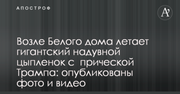 Біля Білого дому літає гігантське надувне курча з зачіскою Трампа: опубліковано фото і відео