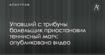 Упавший с трибуны болельщик приостановил теннисный матч: опубликовано видео