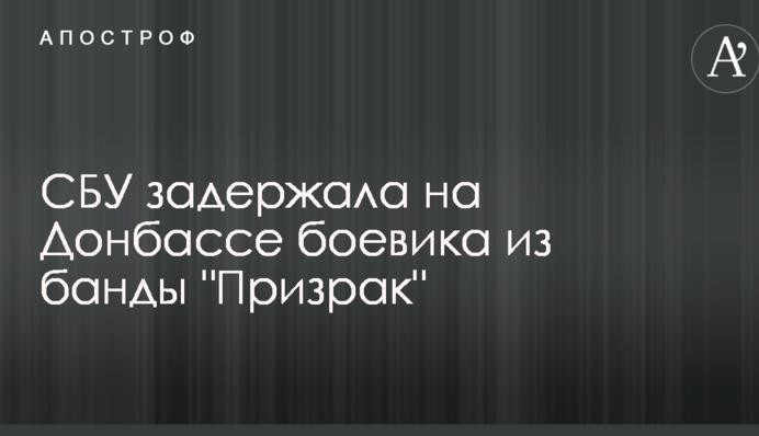 СБУ задержала на Донбассе боевика из банды 