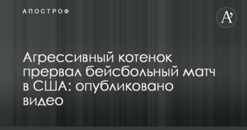 Агрессивный котенок прервал бейсбольный матч в США: опубликовано видео