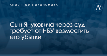 Сын Януковича через суд требует от НБУ возместить его убытки