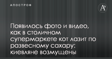 З'явилося фото і відео, як у столичному супермаркеті кіт лазить по ваговому цукру: кияни обурені