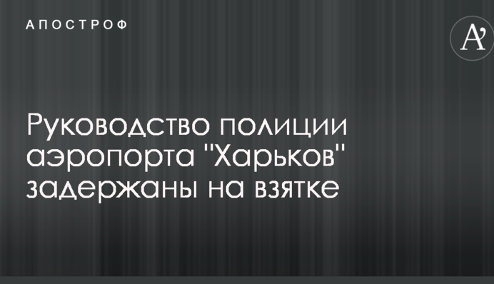 Руководство полиции аэропорта 
