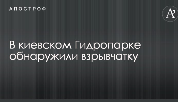 Замаскували під мило: у київській зоні відпочинку знайшли вибухівку