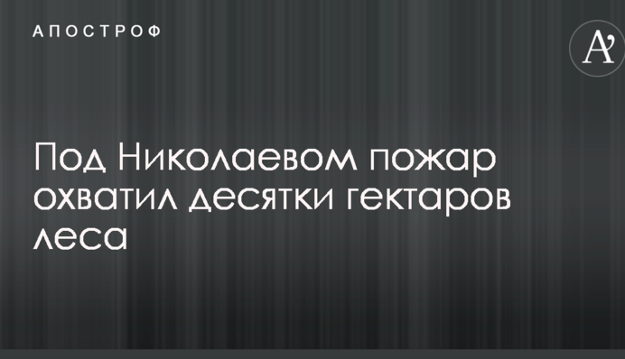 Під Миколаєвом пожежа охопила десятки гектарів лісу: з'явилися моторошні фото і відео