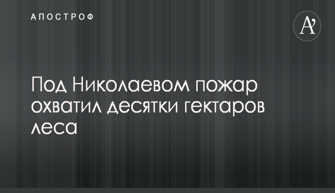 Сети восхитило фото снайпера с необычной 