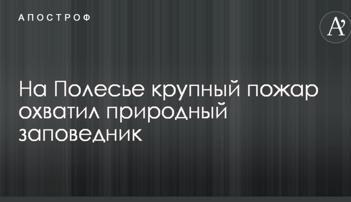 На Поліссі велика пожежа охопила природний заповідник, до гасіння залучили літаки: опубліковано фото і відео