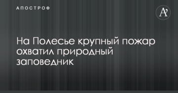 На Поліссі велика пожежа охопила природний заповідник, до гасіння залучили літаки: опубліковано фото і відео