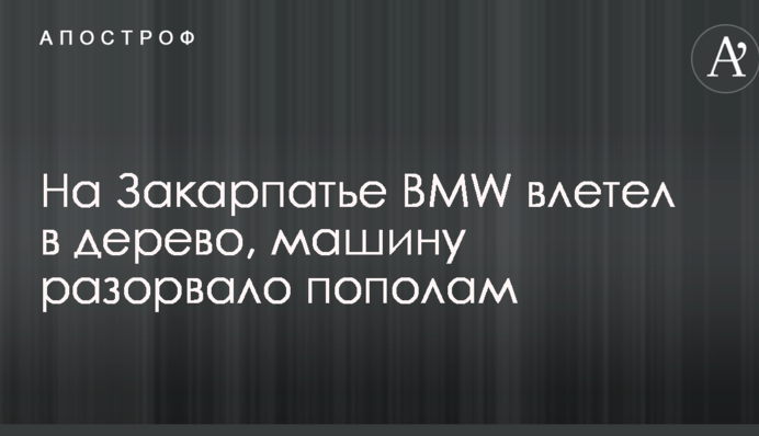 На Закарпатье BMW влетел в дерево, машину разорвало пополам: опубликованы фото и видео