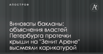 Виноваты бакланы: объяснения властей Петербурга протечки крыши на "Зенит Арене" высмеяли карикатурой