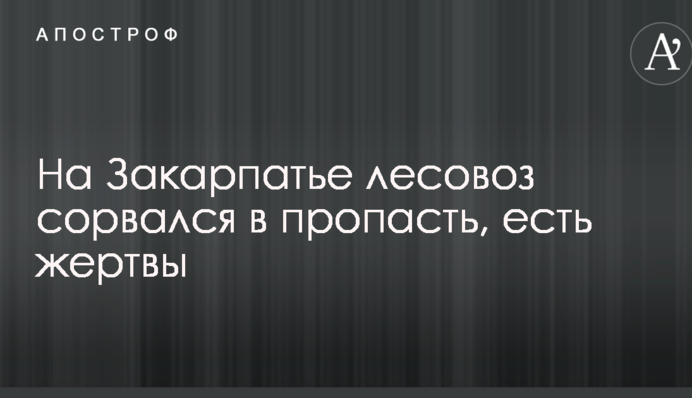 На Закарпатье лесовоз сорвался в пропасть, есть жертвы: опубликованы фото