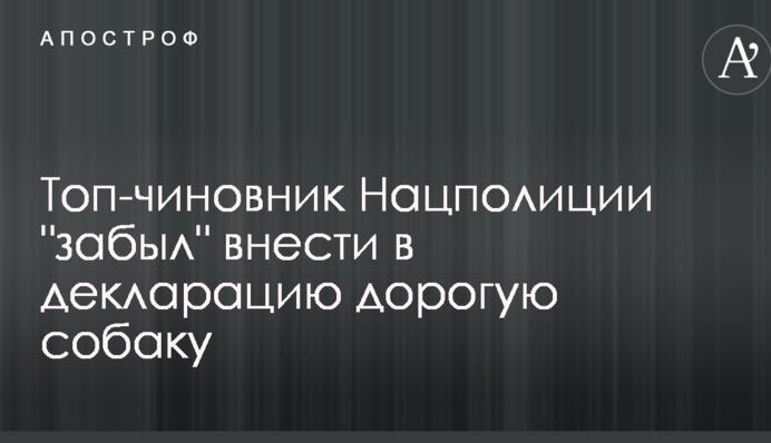 Топ-чиновник Нацполиции 
