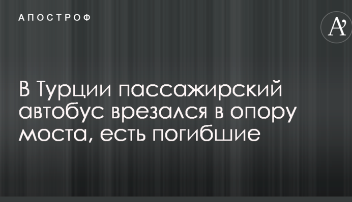 У Туреччині пасажирський автобус врізався в опору моста, є загиблі: опубліковано фото