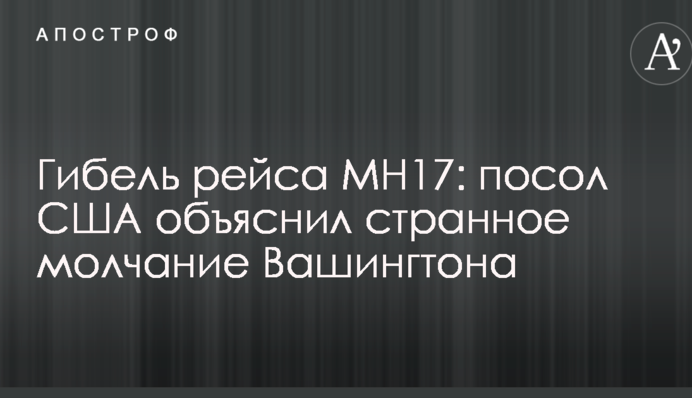 Гибель рейса МН17: посол США объяснил странное молчание Вашингтона