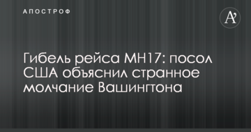 Гибель рейса МН17: посол США объяснил странное молчание Вашингтона