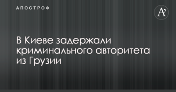 Во время Евромайдана Левочкин купил яхту и землю в Италии - СМИ