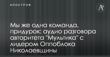 Ми ж одна команда, придурок: мережу розбурхало аудіо розмови авторитета "Мультика" з лідером Оппоблоку Миколаївщини