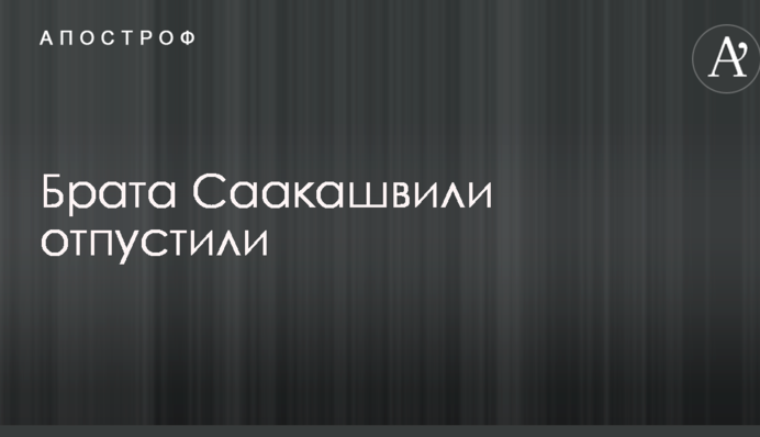Брата Саакашвили отпустили