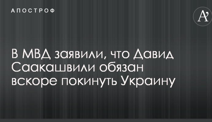 История с задержанием брата Саакашвили: в МВД сделали важное заявление