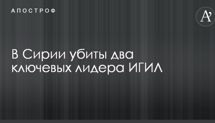 У Сирії вбито двох ключових лідерів ІДІЛ