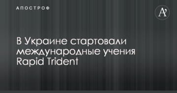 Рабинович предложил МВФ забирать в счет долга Украины виллы у Левочкина, а не заставлять платить простых людей