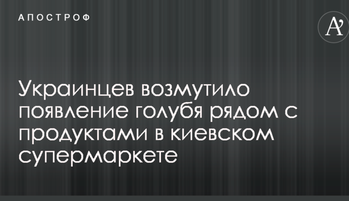 Сеть возмутило появление голубя рядом с продуктами в киевском супермаркете: опубликовано видео