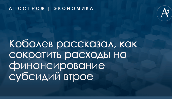 Коболев рассказал, как сократить расходы на финансирование субсидий втрое