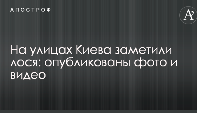 На вулицях Києва побачили лося: опубліковані фото та відео