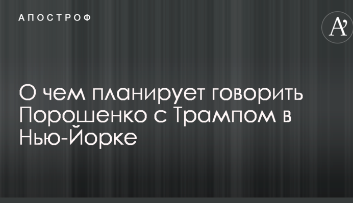 Названы главные темы ближайшей встречи Порошенко с Трампом