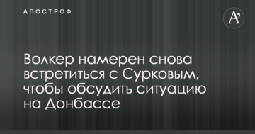 Волкер розповів про плани обговорити з Сурковим питання територіальної цілісності України
