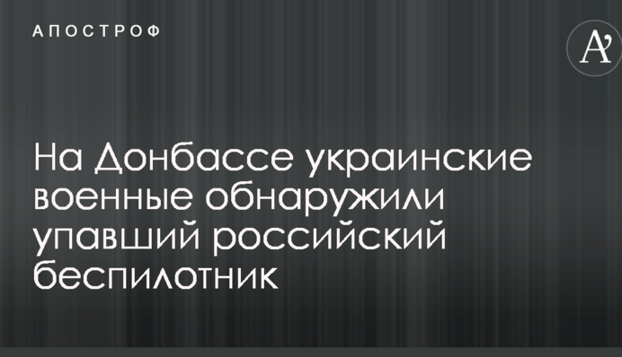 Українські військові виявили російський безпілотник, що впав на Донбасі: опубліковано фото