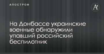 Українські військові виявили російський безпілотник, що впав на Донбасі: опубліковано фото