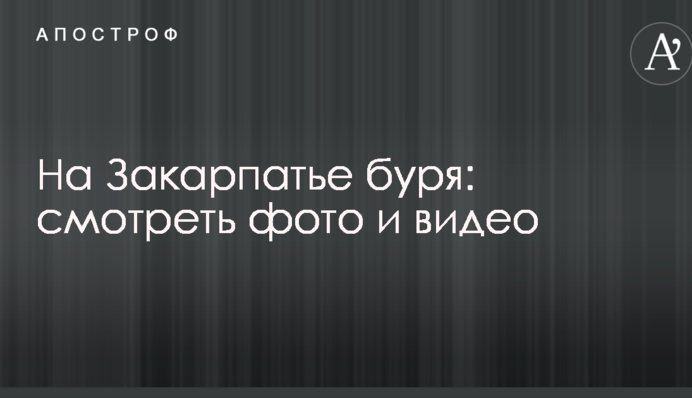 На Закарпатье сильный ветер повалил много деревьев и повредил здание шахты: фото и видео