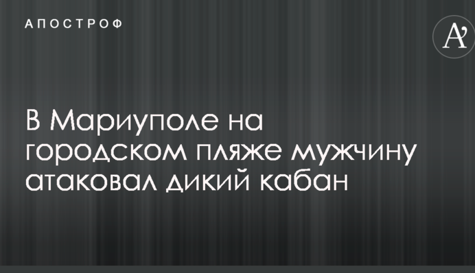 У Маріуполі на міському пляжі чоловіка атакував дикий кабан: опубліковані фото і відео