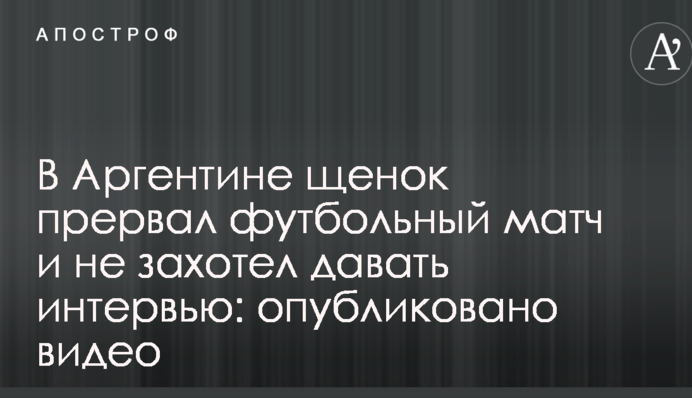 В Аргентині щеня перервало футбольний матч і не захотіло давати інтерв'ю: опубліковано відео
