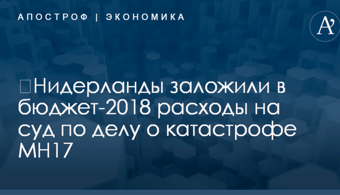 ​Нидерланды заложили в бюджет-2018 расходы на суд по делу о катастрофе MH17