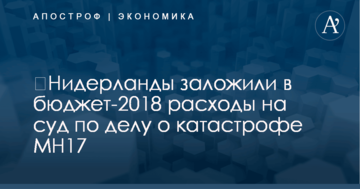 ​Нидерланды заложили в бюджет-2018 расходы на суд по делу о катастрофе MH17
