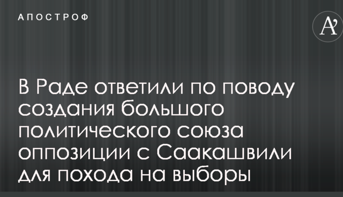 В Раде ответили по поводу создания большого политического союза оппозиции с Саакашвили для похода на выборы