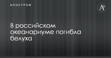 У російському океанаріумі загинула білуха