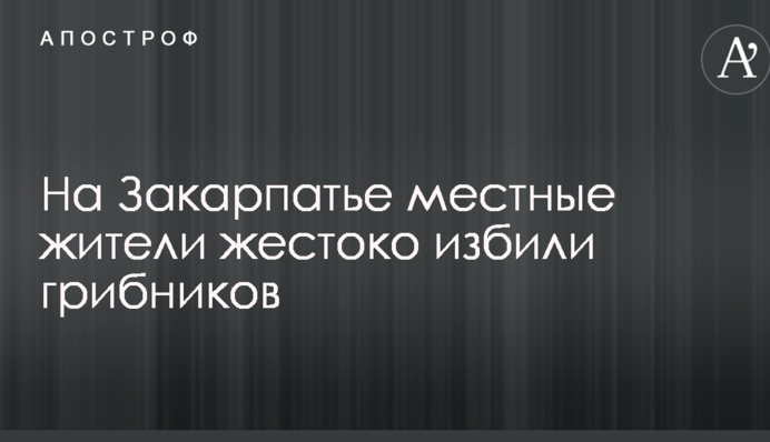 На Закарпатье местные жители жестоко избили грибников: опубликованы фото