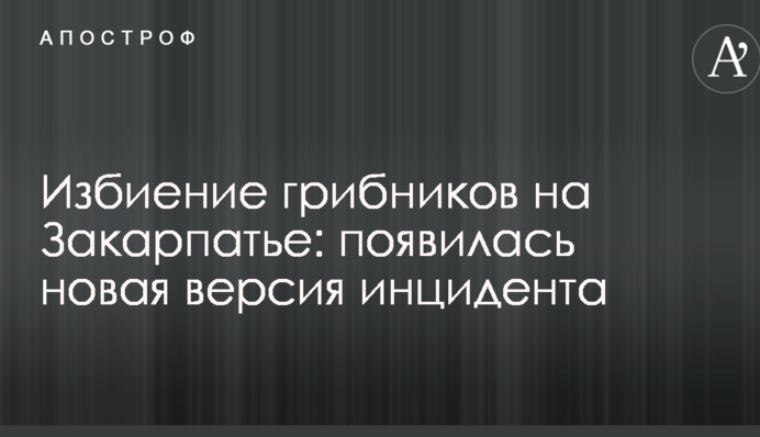 Избиение грибников на Закарпатье: появилась новая версия инцидента