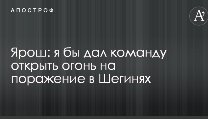 Я бы открыл огонь на поражение: Ярош указал на тупость власти в ситуации с прорывом Саакашвили через границу в Шегинях